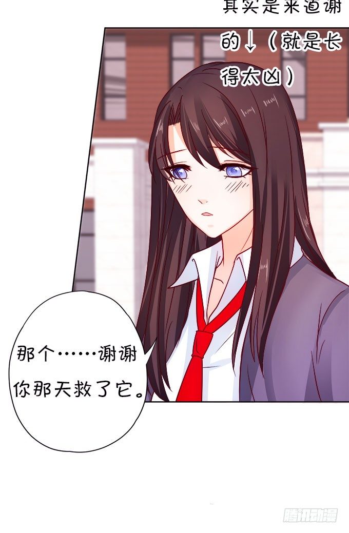 《这个狐仙有点凶》情敌还是朋友？ 第14页