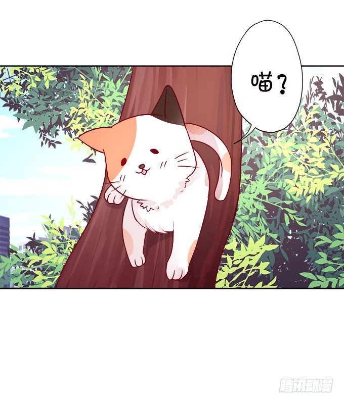 《这个狐仙有点凶》情敌还是朋友？ 第29页