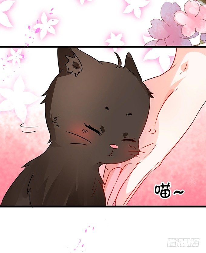 《这个狐仙有点凶》你、你要干嘛？！ 第16页