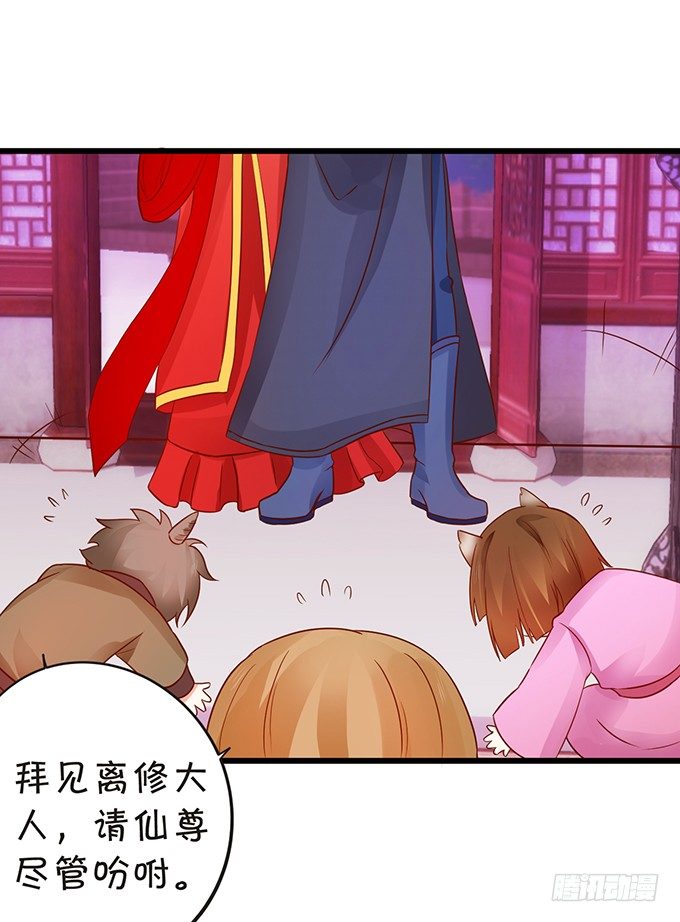 《这个狐仙有点凶》离修霸气抢亲！ 第17页