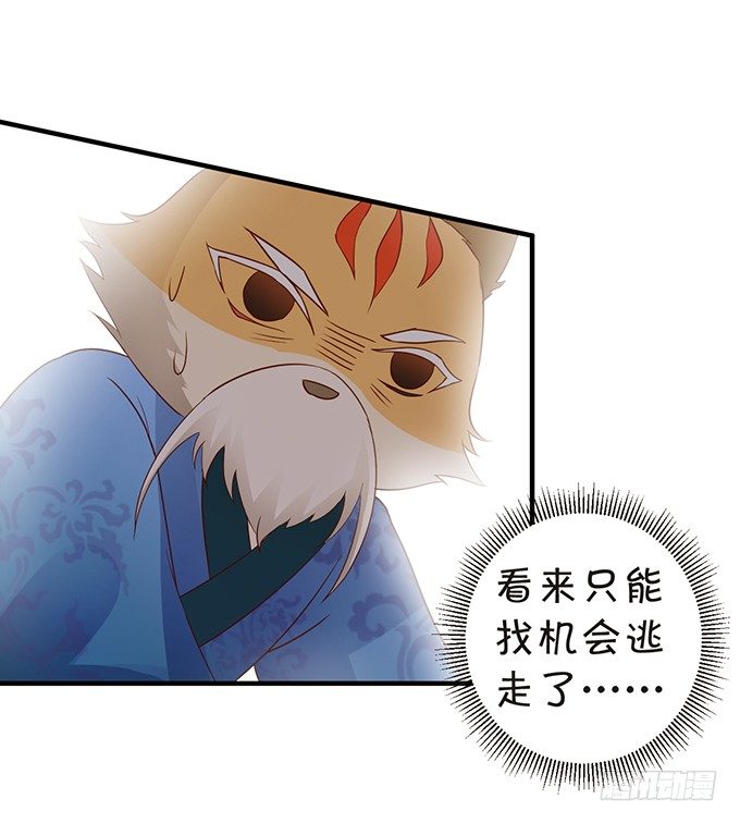 《这个狐仙有点凶》离修霸气抢亲！ 第26页