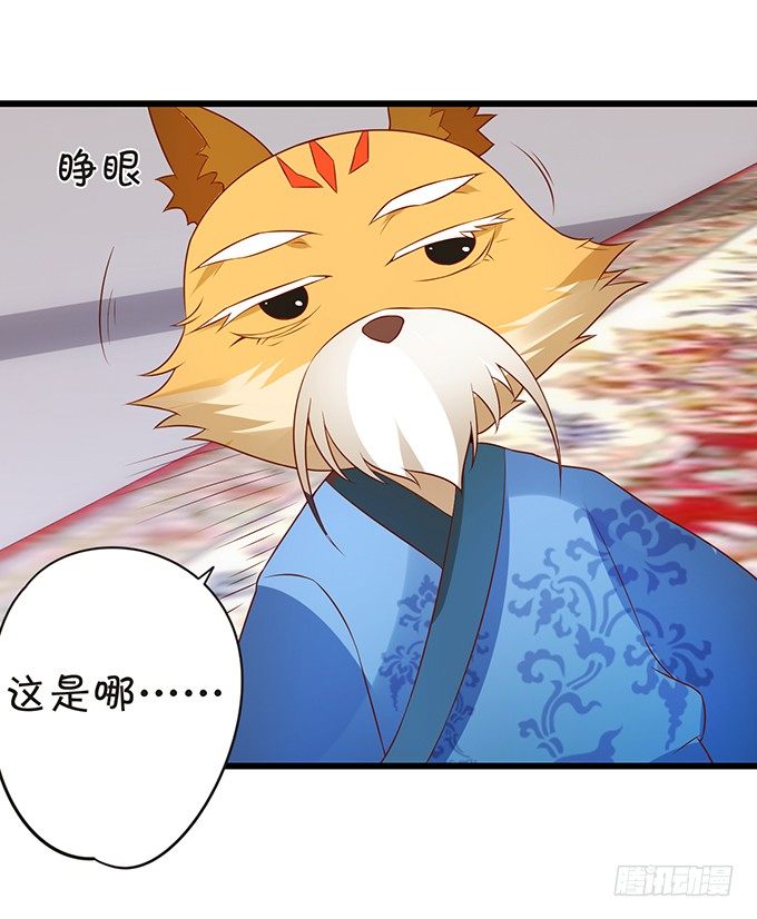 《这个狐仙有点凶》离修霸气抢亲！ 第40页