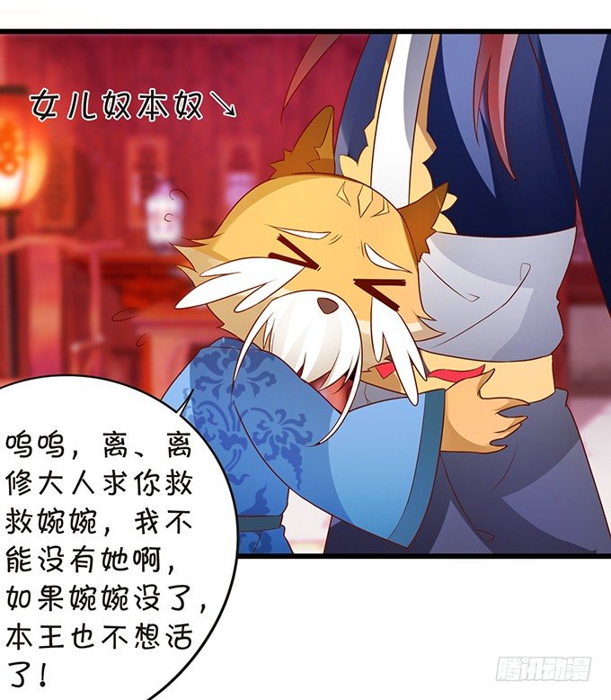 《这个狐仙有点凶》离修霸气抢亲！ 第45页