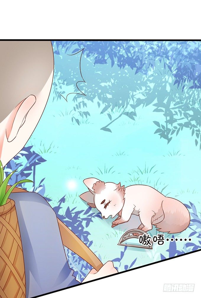 《这个狐仙有点凶》人生若只如初见 第19页