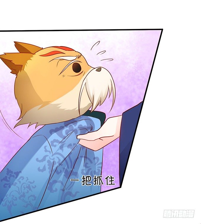 《这个狐仙有点凶》离修霸气抢亲！ 第29页