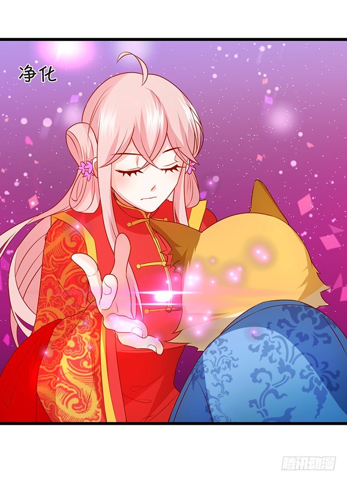 《这个狐仙有点凶》离修霸气抢亲！ 第36页