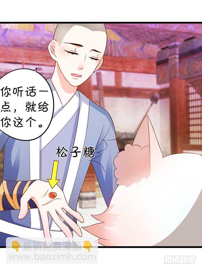 《这个狐仙有点凶》人生若只如初见 第31页