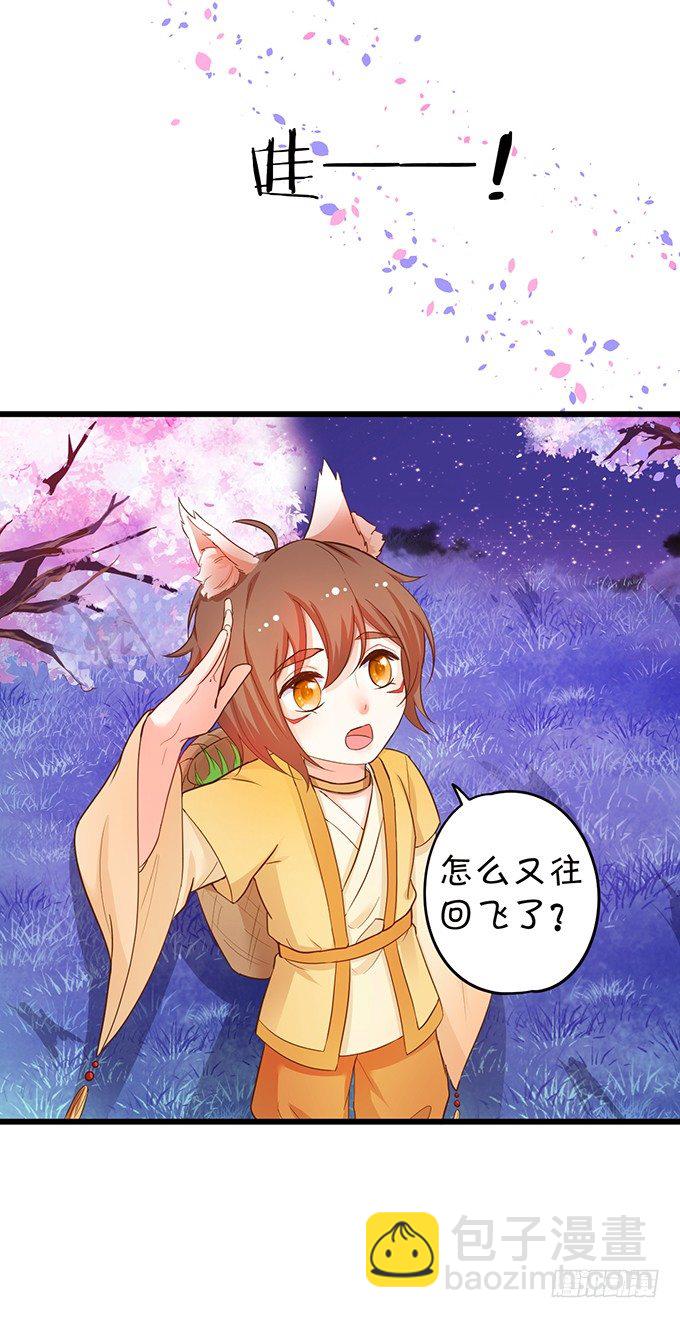 《这个狐仙有点凶》比武大战的阴谋！ 第11页