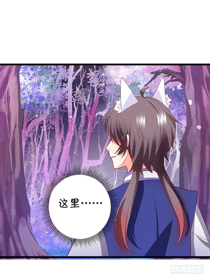 《这个狐仙有点凶》谁敢动我战神的人！ 第7页