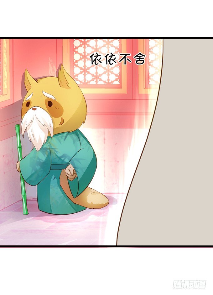 《这个狐仙有点凶》什么！？双修？ 第48页