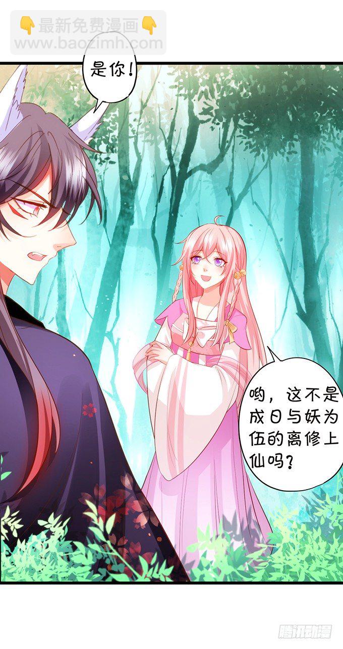 《这个狐仙有点凶》前世小七吊打离修！ 第20页