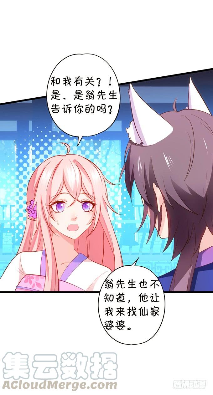 《这个狐仙有点凶》探究前世！我绝不后悔！ 第41页