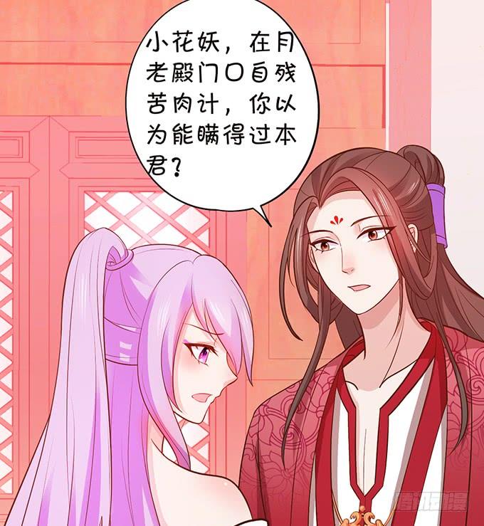 《这个狐仙有点凶》小花妖，看你装到何时 第13页