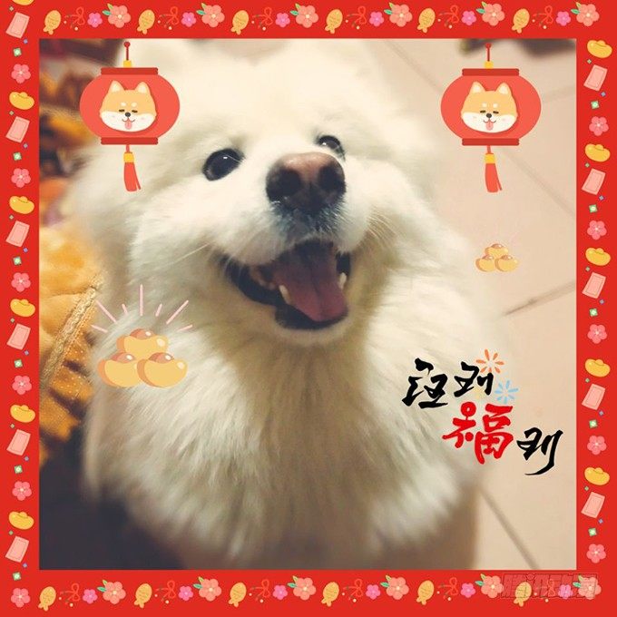 《这个狐仙有点凶》完结篇时光不老，我们不散！ 第45页