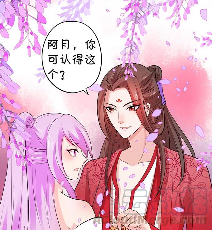 《这个狐仙有点凶》你是前世未止的心跳 第41页
