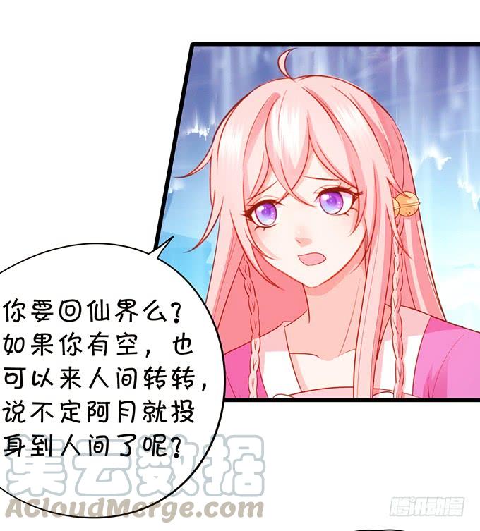 《这个狐仙有点凶》天若有情天亦老！ 第31页