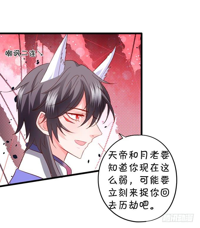 《这个狐仙有点凶》臭狐狸，你别想吃铃儿豆腐！ 第34页