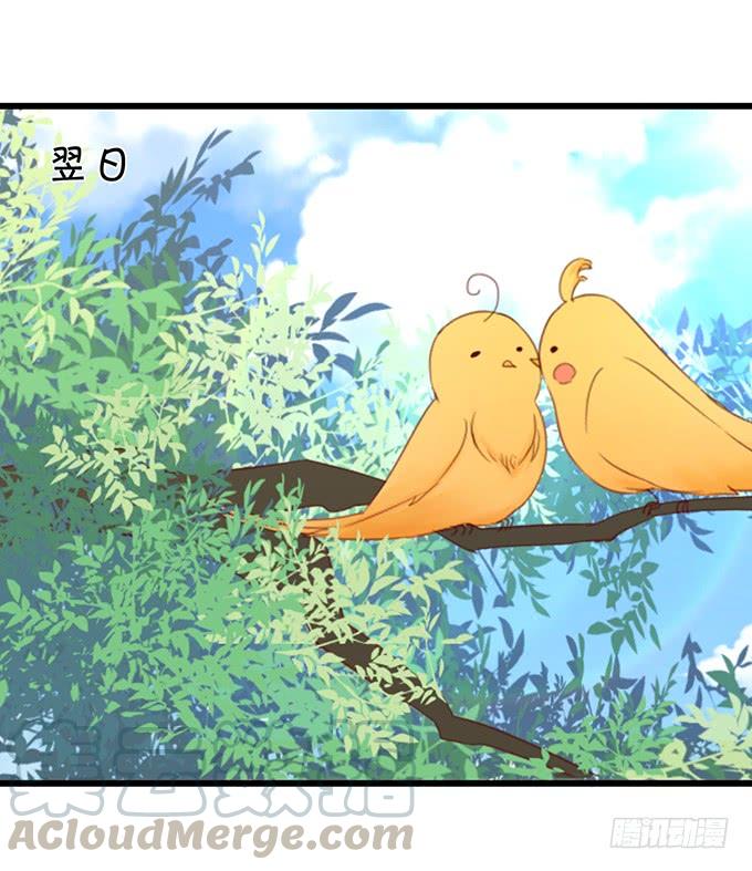 《这个狐仙有点凶》元徽，杀了她，你就自由了！ 第31页