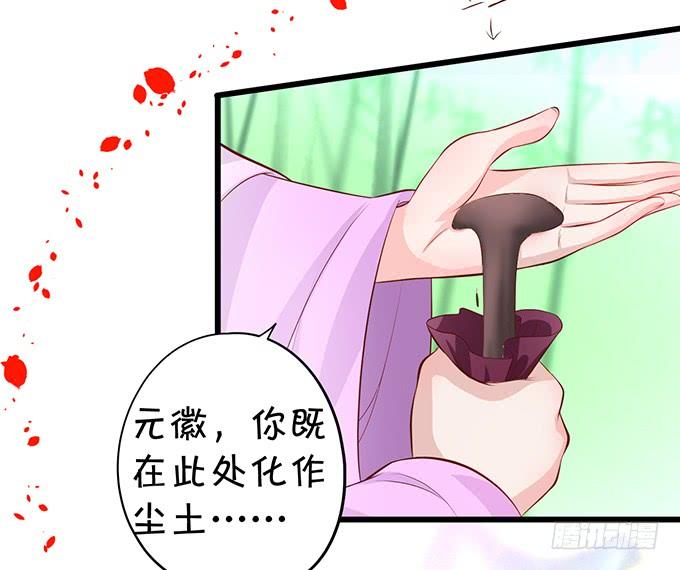 《这个狐仙有点凶》离修与楚楚的前尘往事 第15页