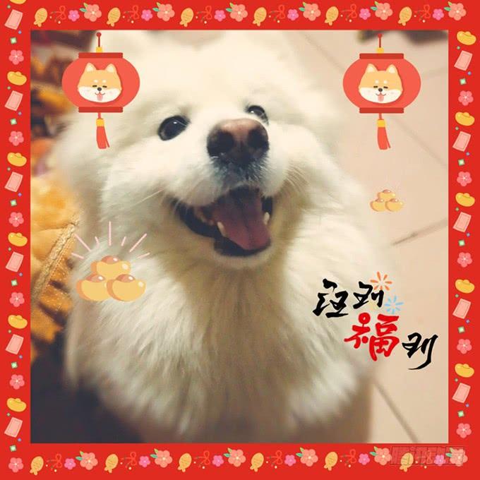《这个狐仙有点凶》你会答应我的，对吗？ 第36页