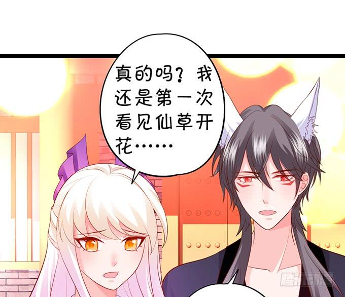 《这个狐仙有点凶》离修，为你我甘愿如此！ 第7页