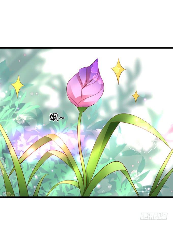 《这个狐仙有点凶》离修，为你我甘愿如此！ 第4页