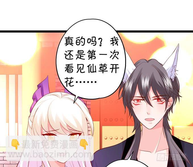 《这个狐仙有点凶》离修，为你我甘愿如此！ 第7页