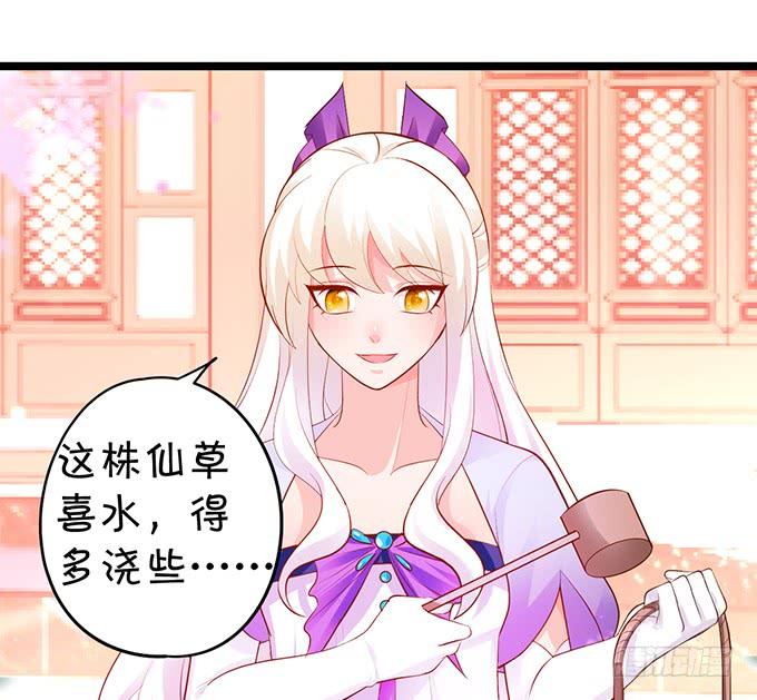 《这个狐仙有点凶》花前月下，接吻最为合适 第14页