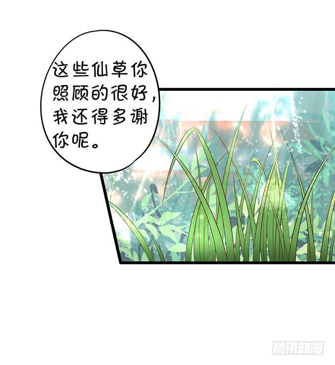 《这个狐仙有点凶》花前月下，接吻最为合适 第28页