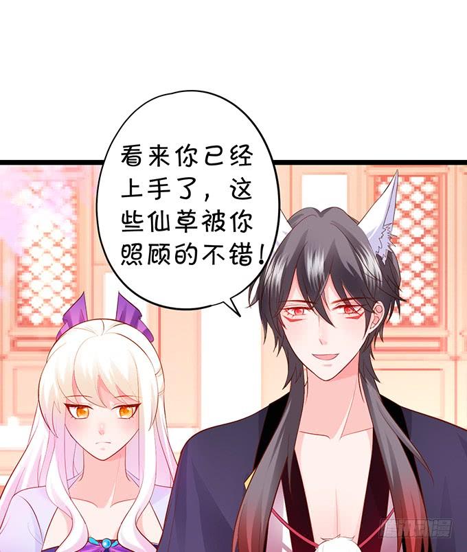 《这个狐仙有点凶》花前月下，接吻最为合适 第23页