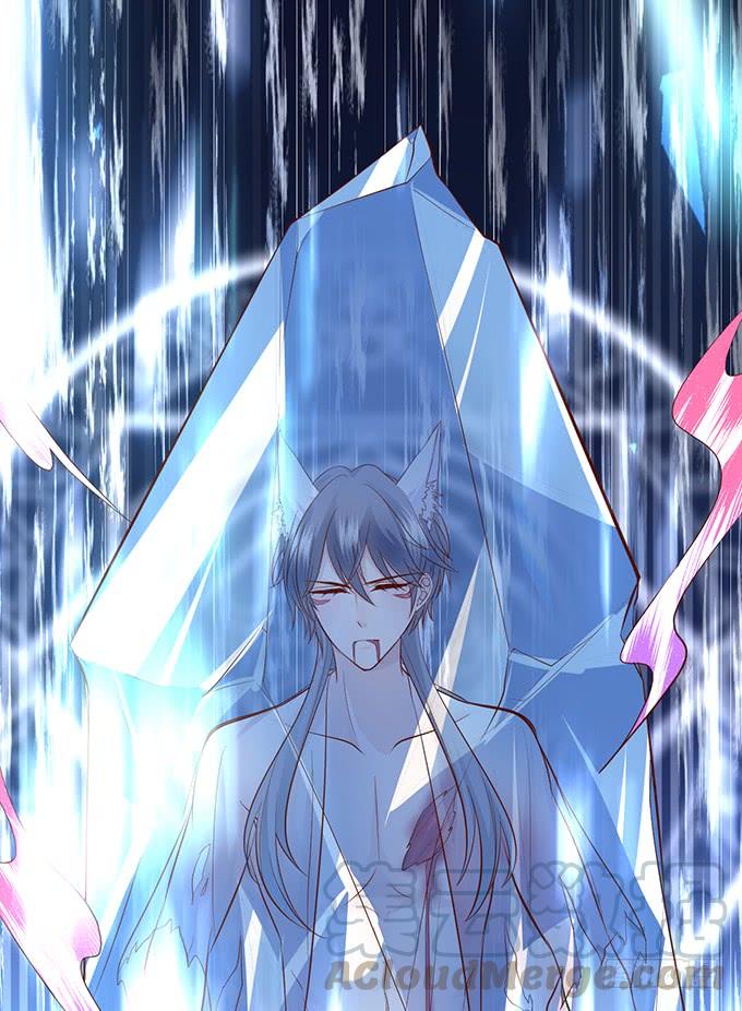 《这个狐仙有点凶》离修，我们来生再见…… 第11页