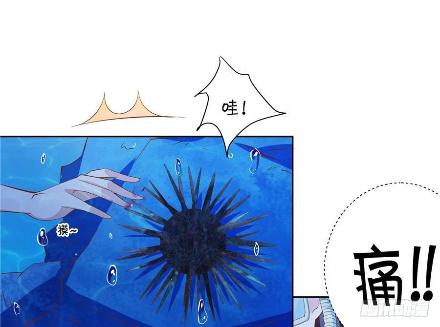 《绑个明星做男票》真有笨死的猪呀 第17页