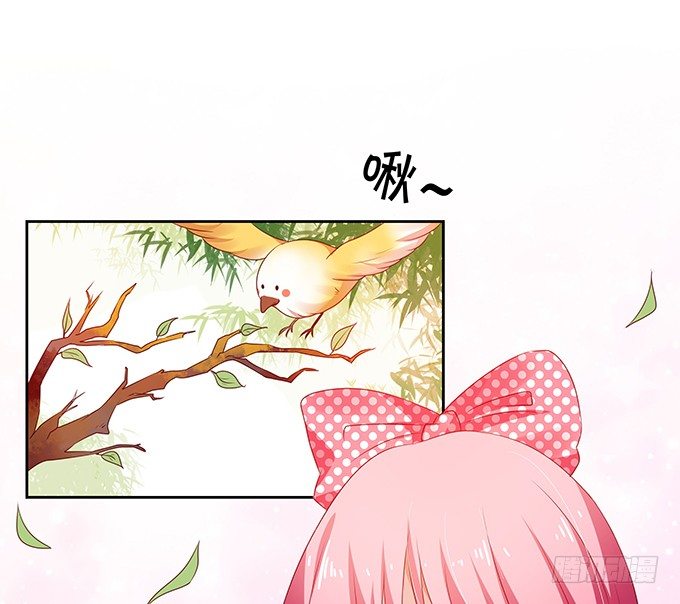 《绑个明星做男票》林森宇的初恋 第19页