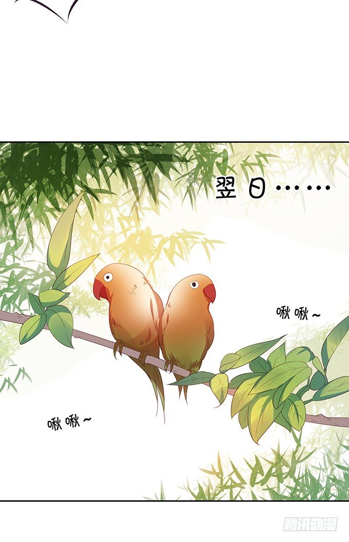 《绑个明星做男票》还不快来讨好我？ 第8页