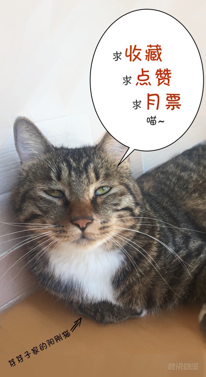 《绑个明星做男票》三大主题 第41页