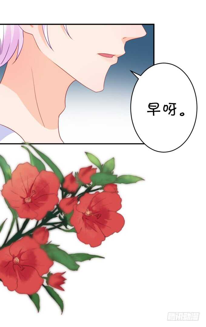 《绑个明星做男票》长得帅了不起呀 第19页