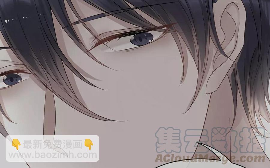 《总裁想静静》第166话 雄鹰与种子（下） 第41页