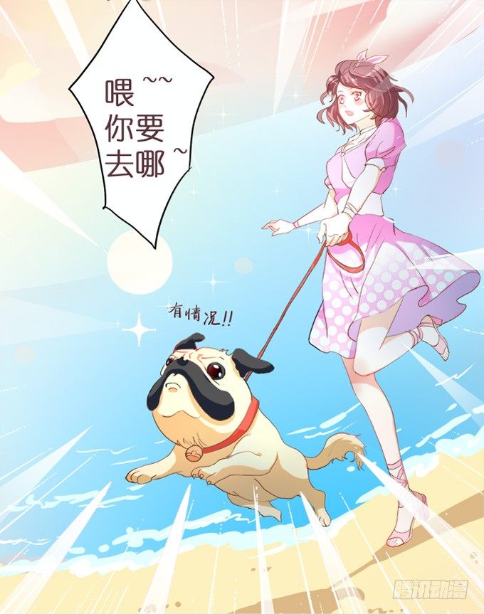 《我家王子是男仆》骑士的荣耀 第43页