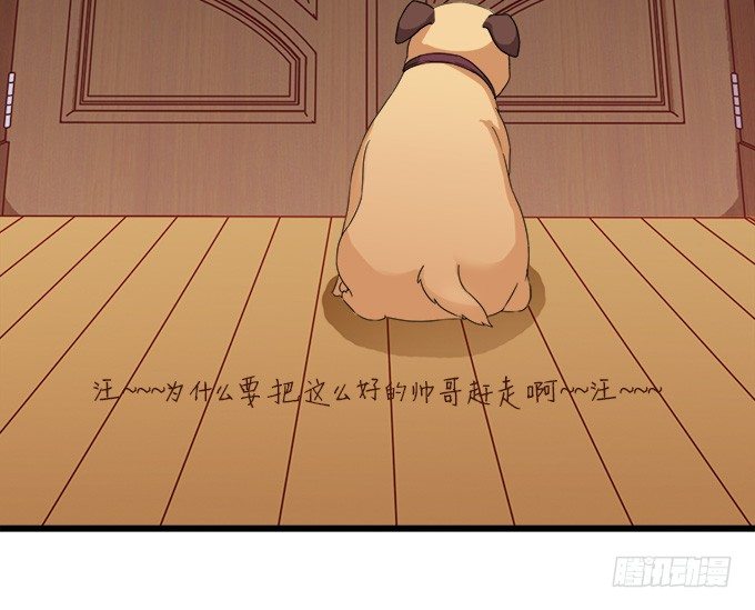 《我家王子是男仆》遗失的美好 第40页