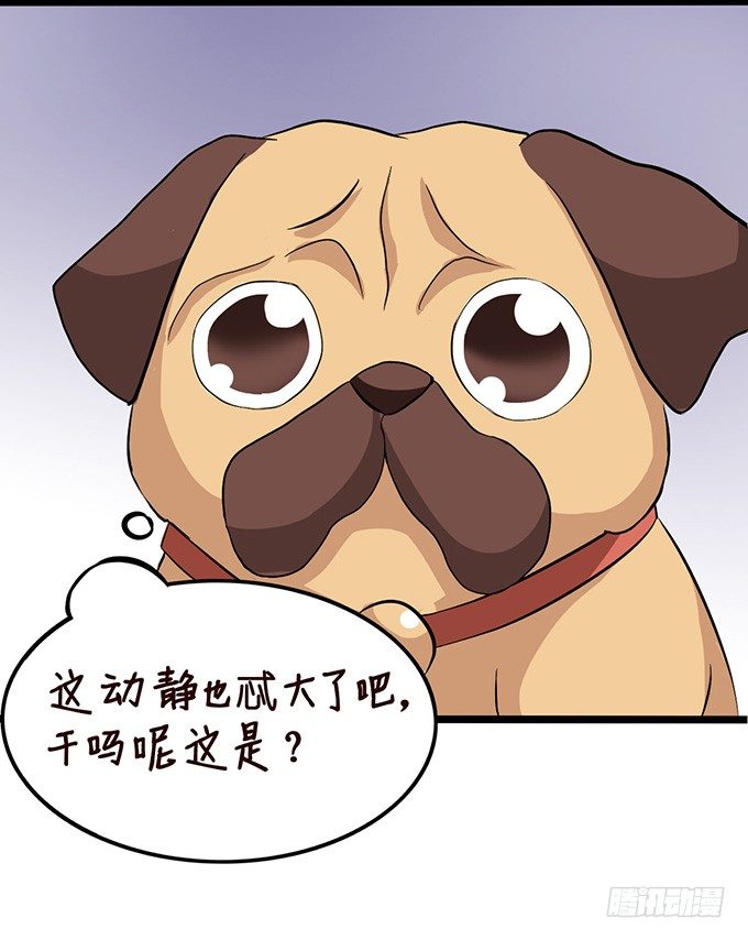 《我家王子是男仆》不要想奇怪的事哦 第19页