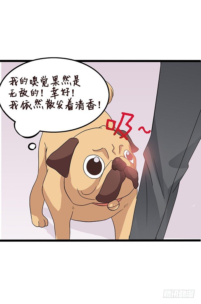 《我家王子是男仆》不要想奇怪的事哦 第38页