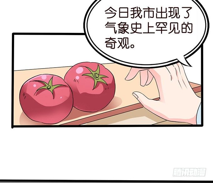《我家王子是男仆》不要想奇怪的事哦 第43页