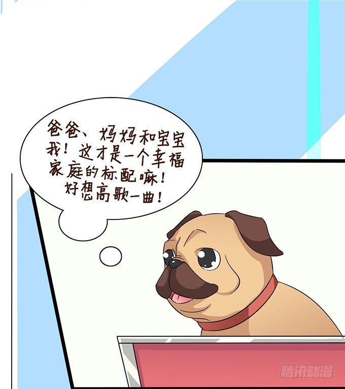 《我家王子是男仆》爱似龙卷风 第27页