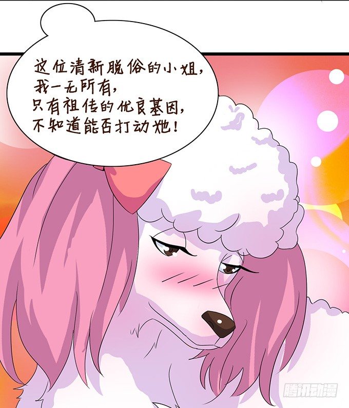 《我家王子是男仆》爱似龙卷风 第35页