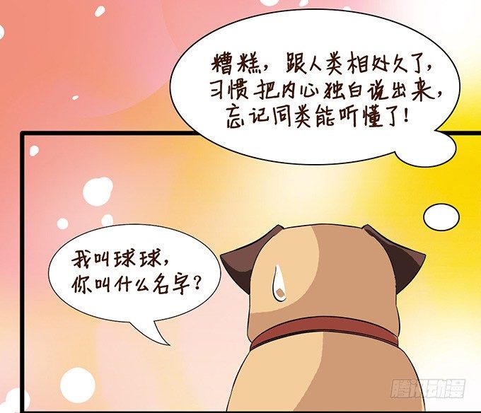 《我家王子是男仆》爱似龙卷风 第37页