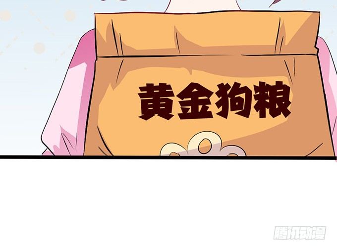 《我家王子是男仆》爱似龙卷风 第46页
