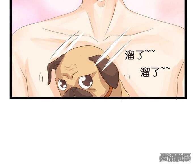 《我家王子是男仆》想你的下雨天 第42页