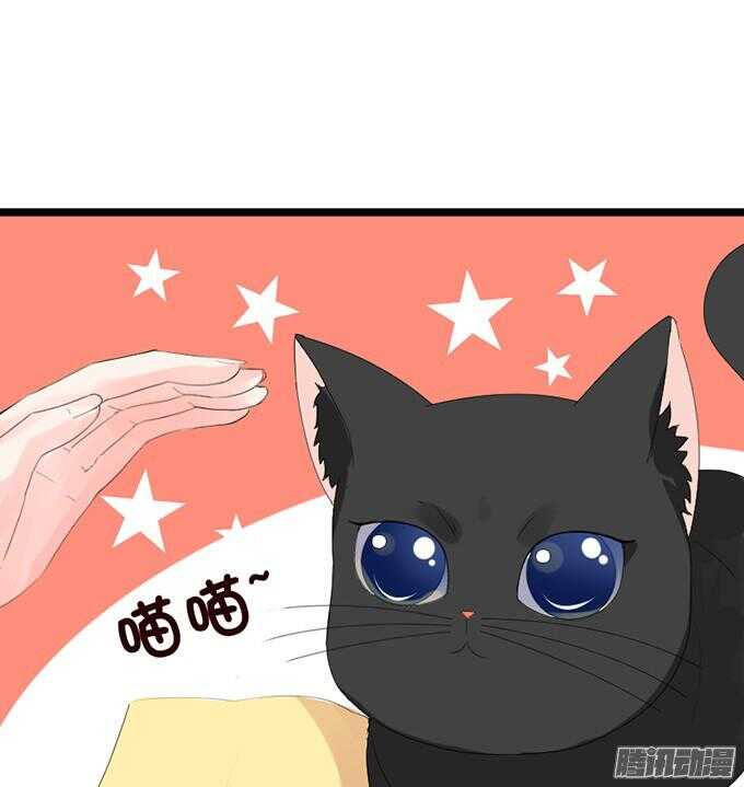 《我家王子是男仆》奇怪的老爷子 第44页