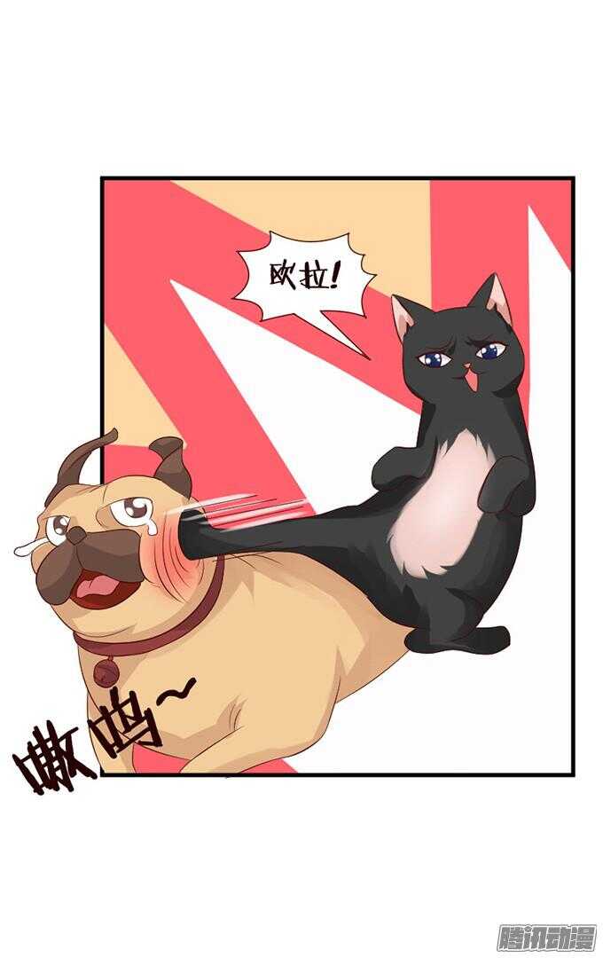 《我家王子是男仆》果真是天生一对 第33页