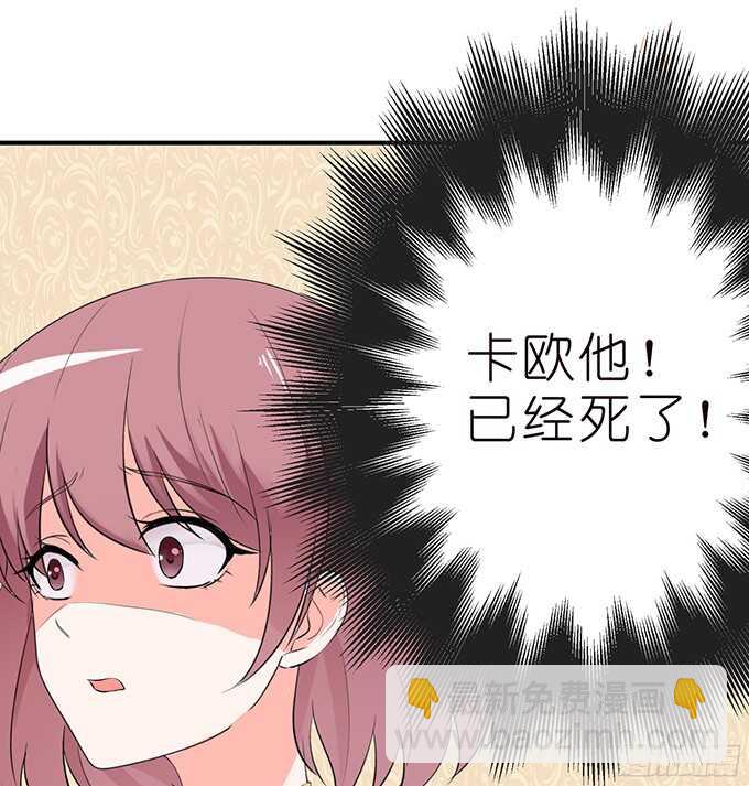 《我家王子是男仆》被隐匿的王子 第43页